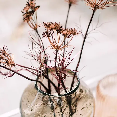 With Bath Center Apartment