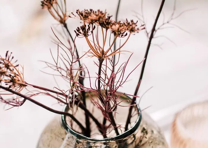 With Bath Center شقة